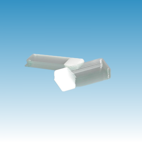 YGR® Adhesion Microscope Frosted Slide 75*25mm - Image 2