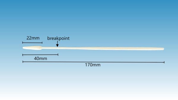 YGR®6-inch Cervical Swab w/ Flocked Tip - Image 4