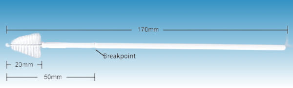 YGR®Tapered Nylon Fiber Cytology Cervical Brush - Image 4