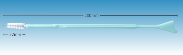 YGR® C28-Y Nylon bristle Cytology Cervical Brush (Y-shaped Handle） - Image 4
